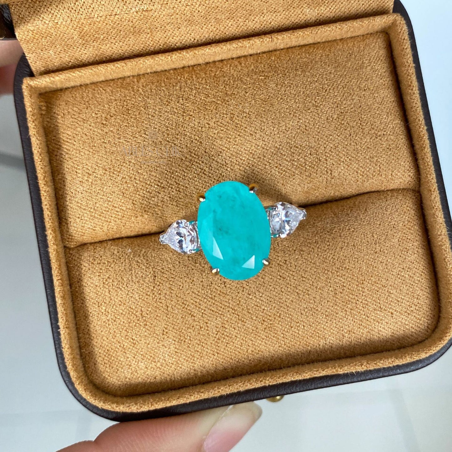 Lab Paraiba Ehering R0871