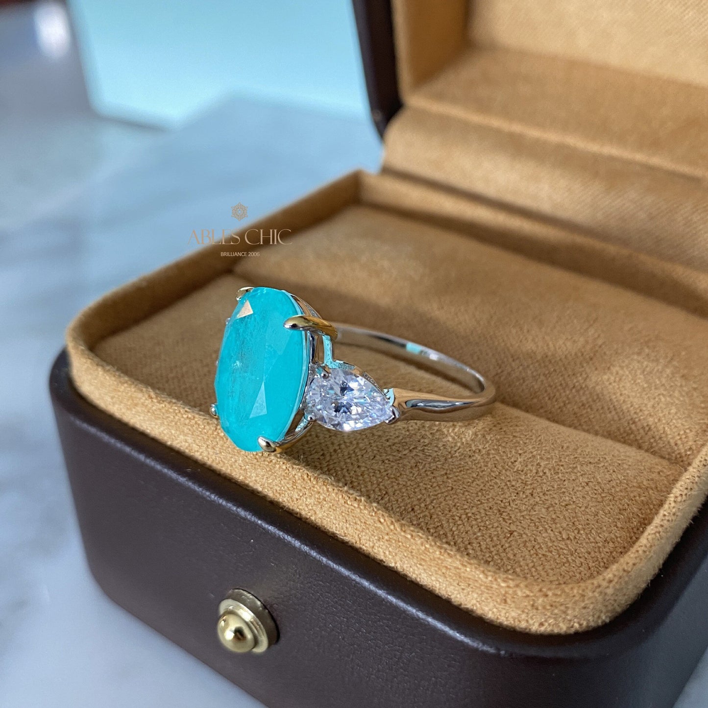 Lab Paraiba Ehering R0871