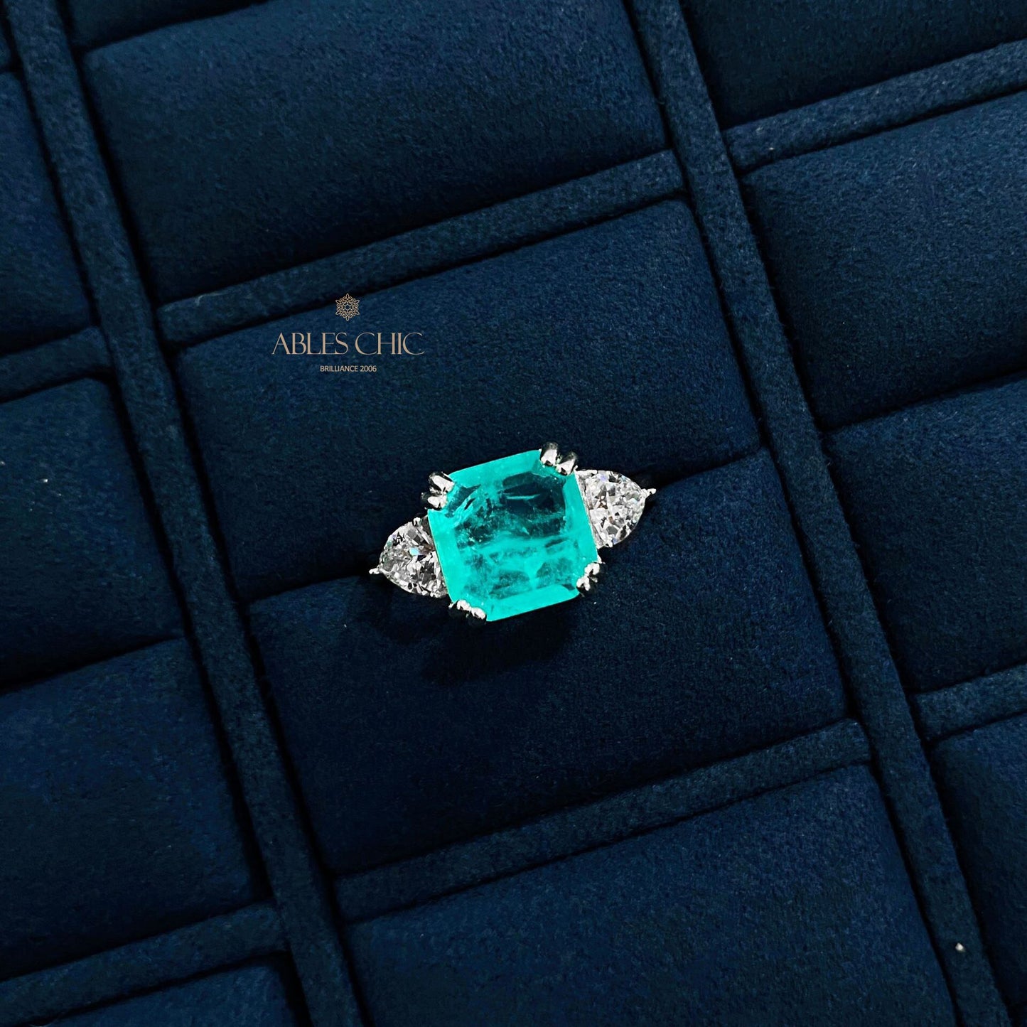 Lab Paraiba Ehering R0896B