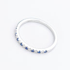 Blue Duet Half Band
