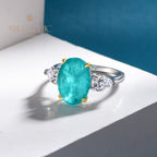 Lab Paraiba Ehering R0871