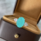 Lab Paraiba Ehering R0871