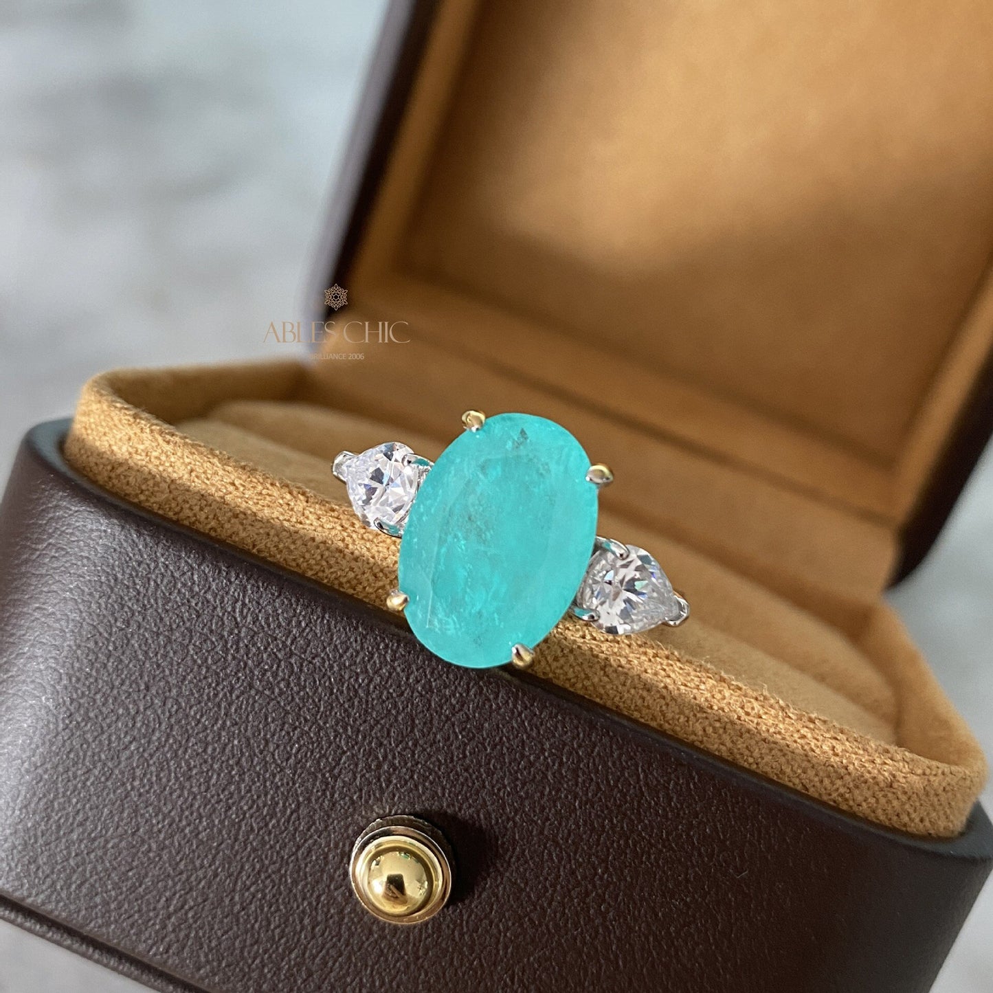 Lab Paraiba Ehering R0871