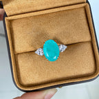Lab Paraiba Ehering R0871