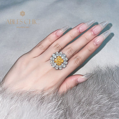 Gepflasterter Blumentopasring R1569