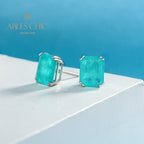 Smaragd Paraiba Turmalin Ohrringe E0121