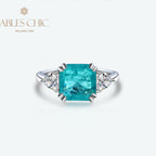 Lab Paraiba Ehering R0896B