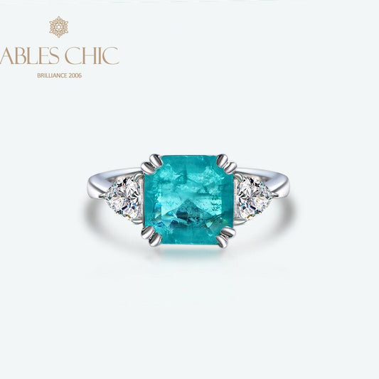 Lab Paraiba Ehering R0896B