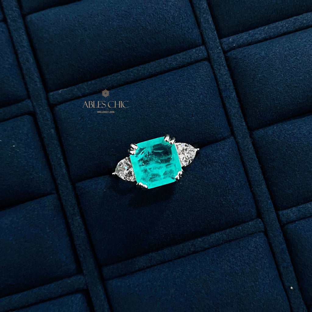Lab Paraiba Ehering R0896B