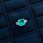 Lab Paraiba Ehering R0896B