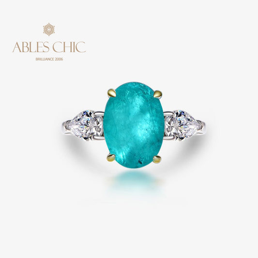 Lab Paraiba Ehering R0871