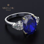 Lab Paraiba Ehering R0871