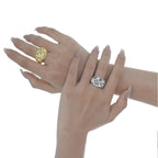 Abstrakter flüssiger dicker Ring R1110