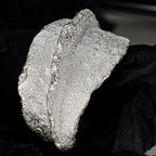 Klobiger organischer matter Ring R1230