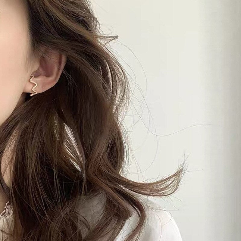 Filigrane Ohrringe mit gepflastertem Zirkonia E1002