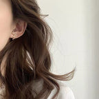 Filigrane Ohrringe mit gepflastertem Zirkonia E1002